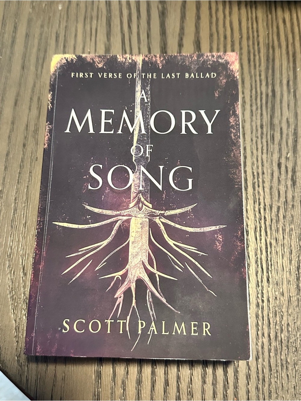📚4 for $30 📚🇨🇦Signed - A Memory of Song by Scott Palmer